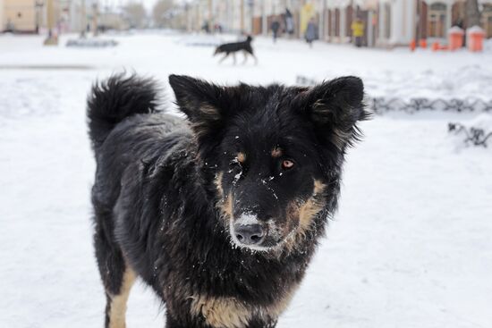 Russian cities. Ulan-Ude