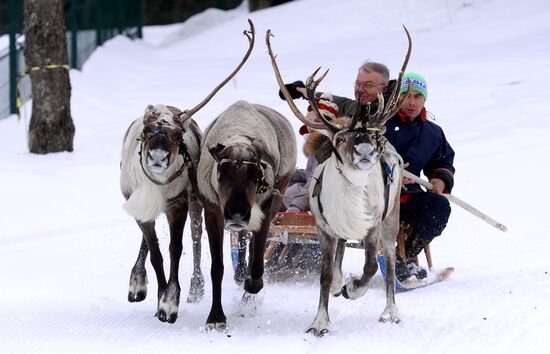 Gazprom alpine tourist center in Sochi