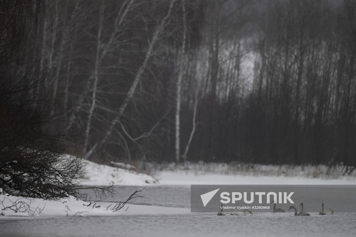 Lebediny State Nature Sanctuary