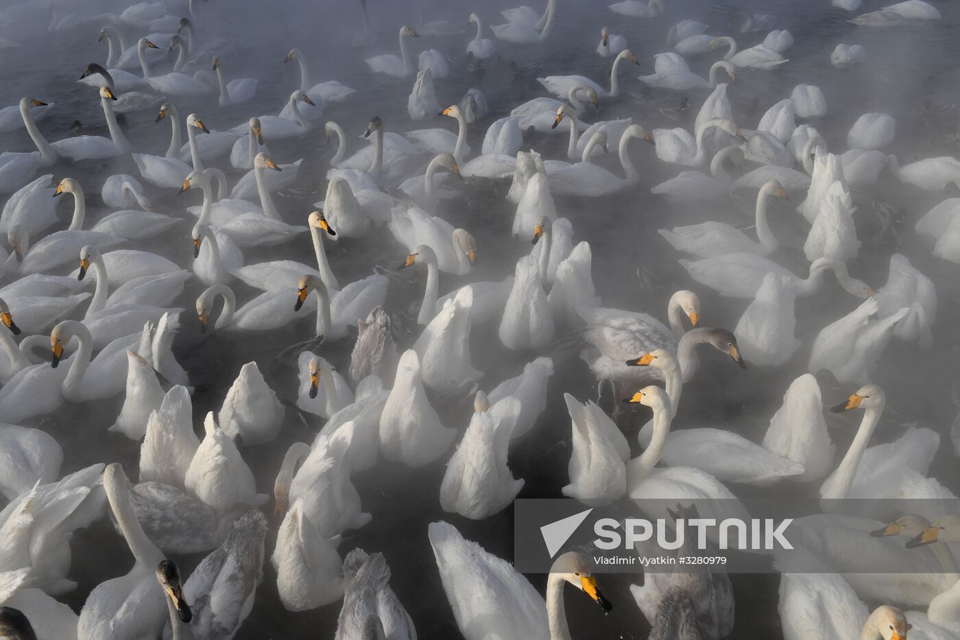 Lebediny State Nature Sanctuary