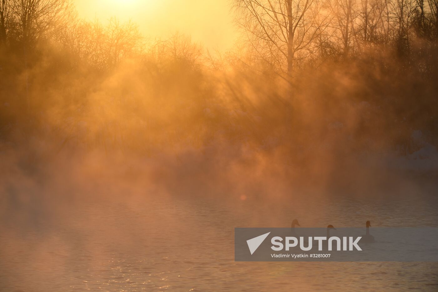 Lebediny State Nature Sanctuary