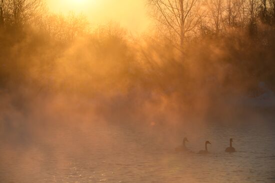 Lebediny State Nature Sanctuary