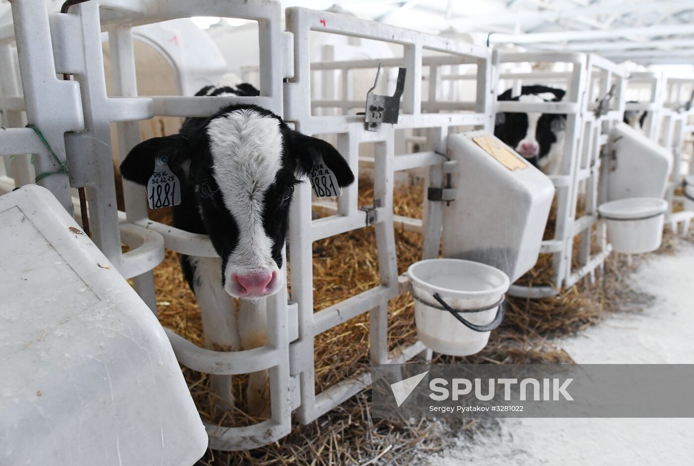 Nepetsino agroindustrial complex under Presidential Administrative Directorate
