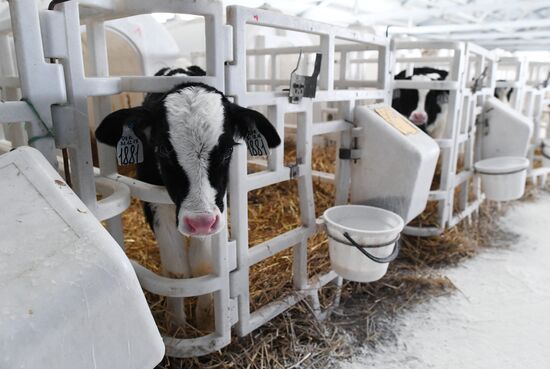 Nepetsino agroindustrial complex under Presidential Administrative Directorate