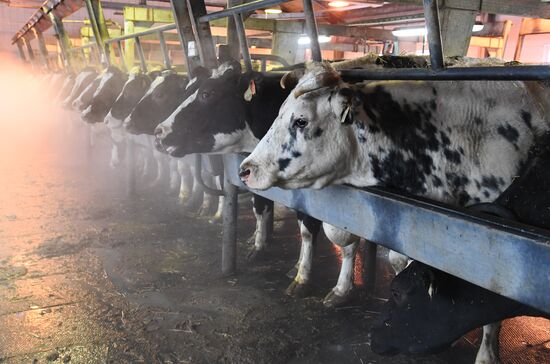Nepetsino agroindustrial complex under Presidential Administrative Directorate