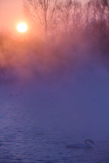 Lebediny State Nature Sanctuary