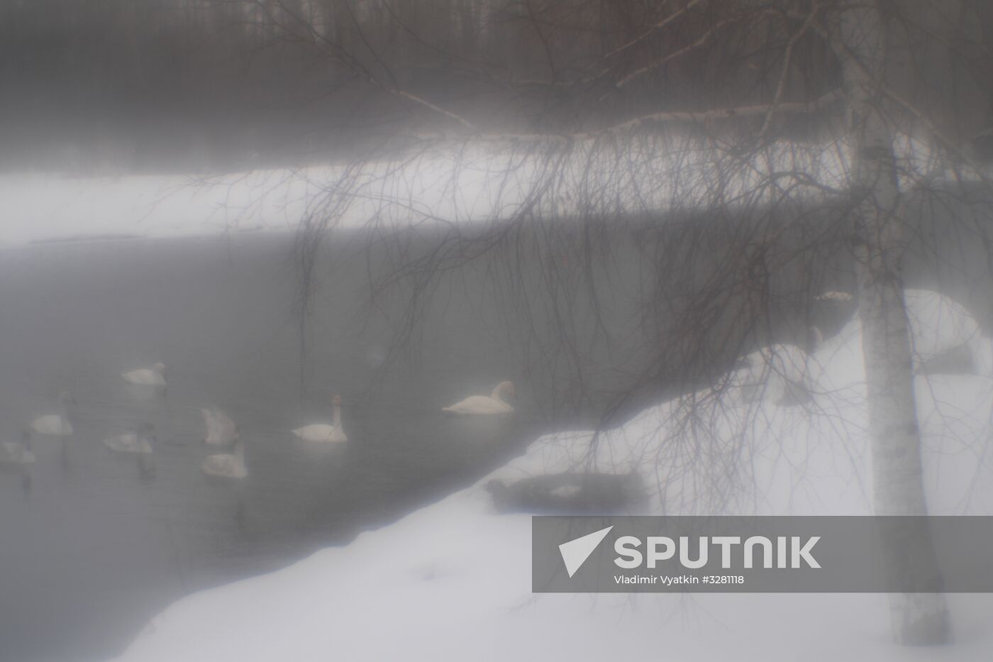 Lebediny State Nature Sanctuary