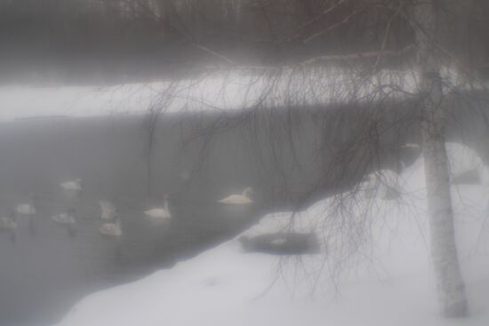 Lebediny State Nature Sanctuary