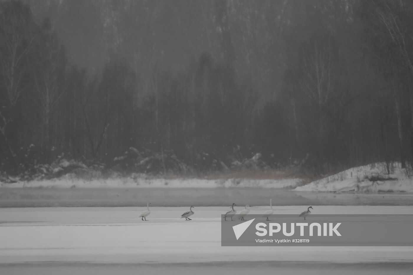 Lebediny State Nature Sanctuary