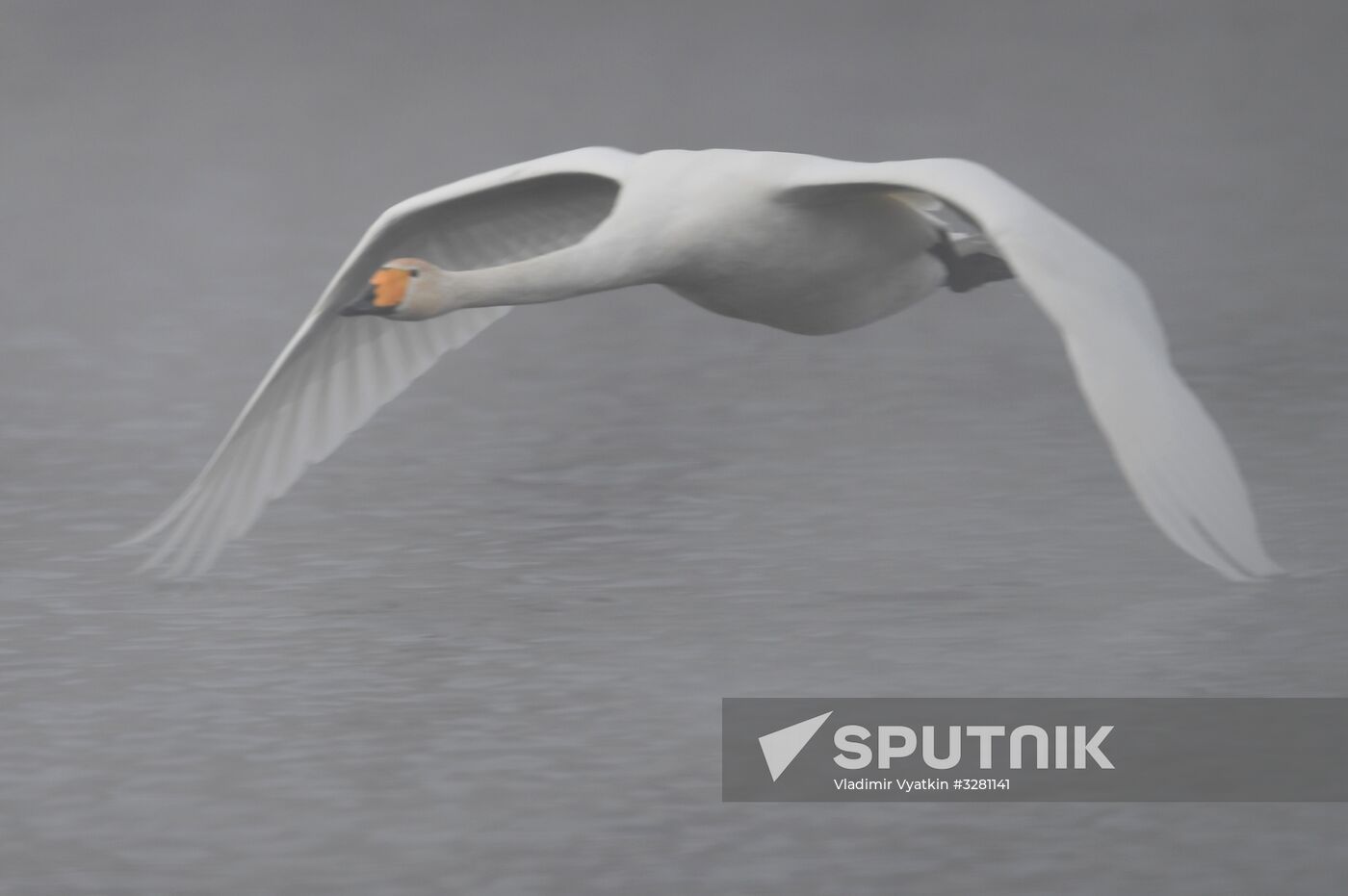 Lebediny State Nature Sanctuary