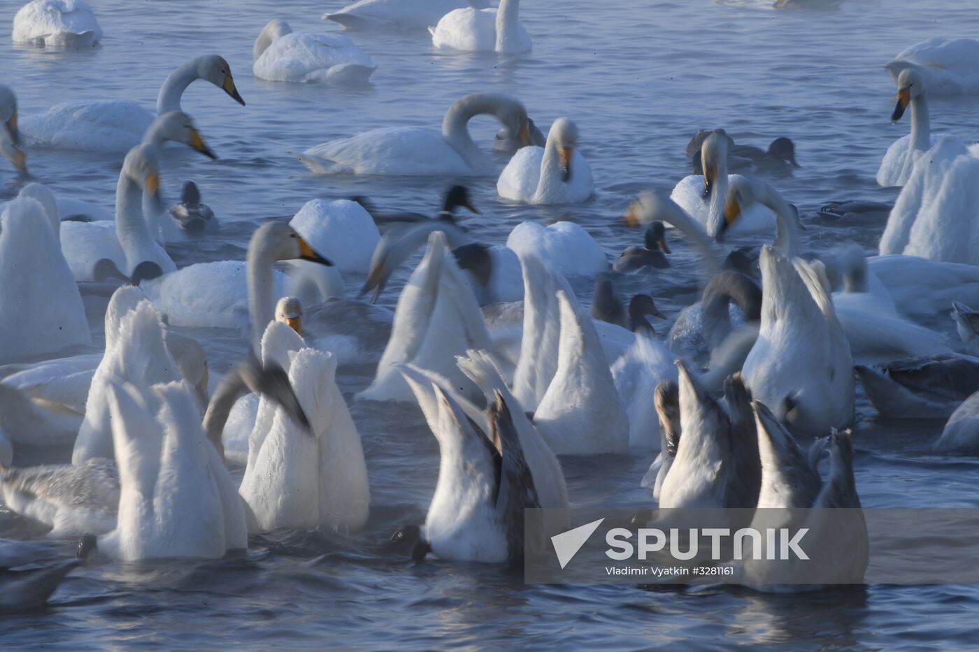 Lebediny State Nature Sanctuary