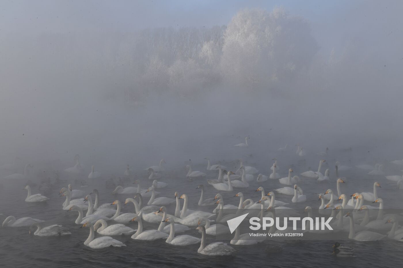 Lebediny State Nature Sanctuary