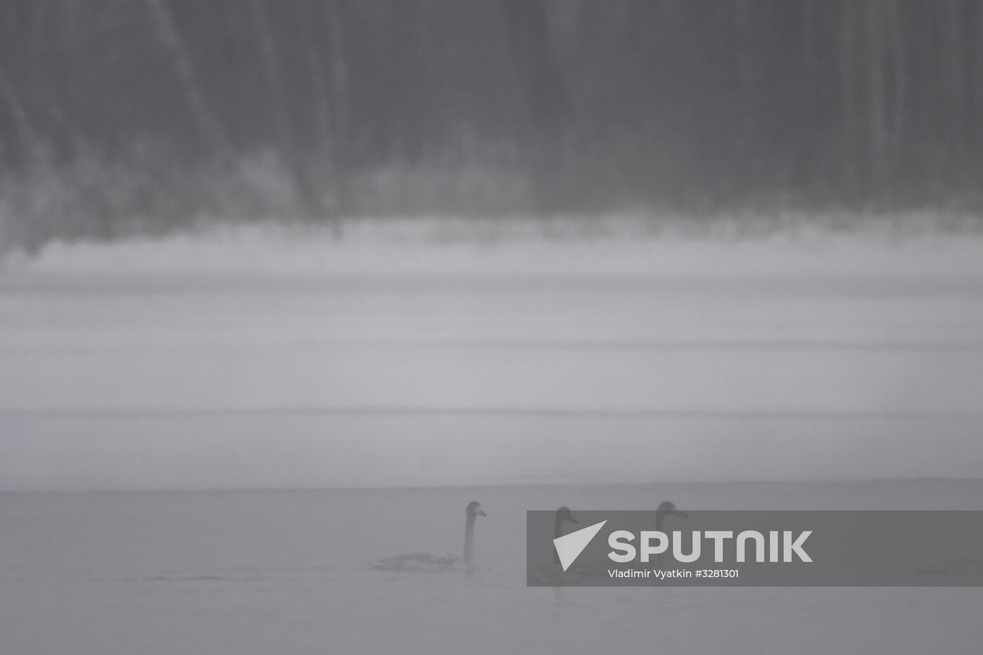 Lebediny State Nature Sanctuary