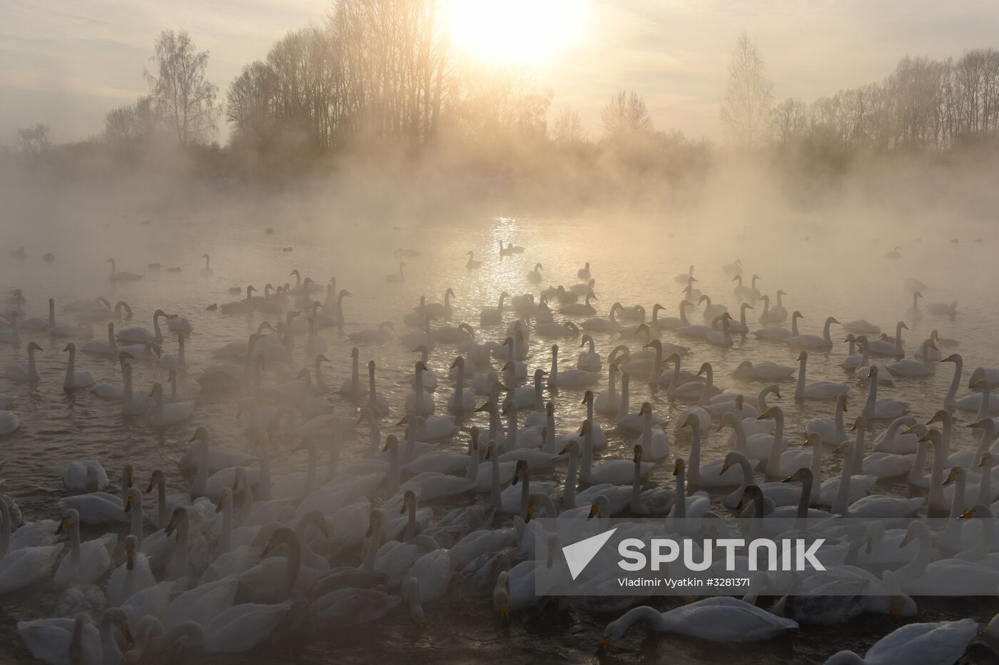 Lebediny State Nature Sanctuary