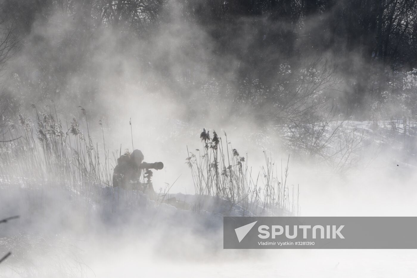 Lebediny State Nature Sanctuary