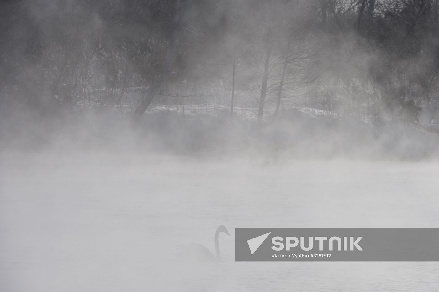 Lebediny State Nature Sanctuary