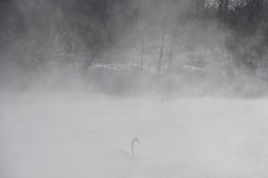 Lebediny State Nature Sanctuary