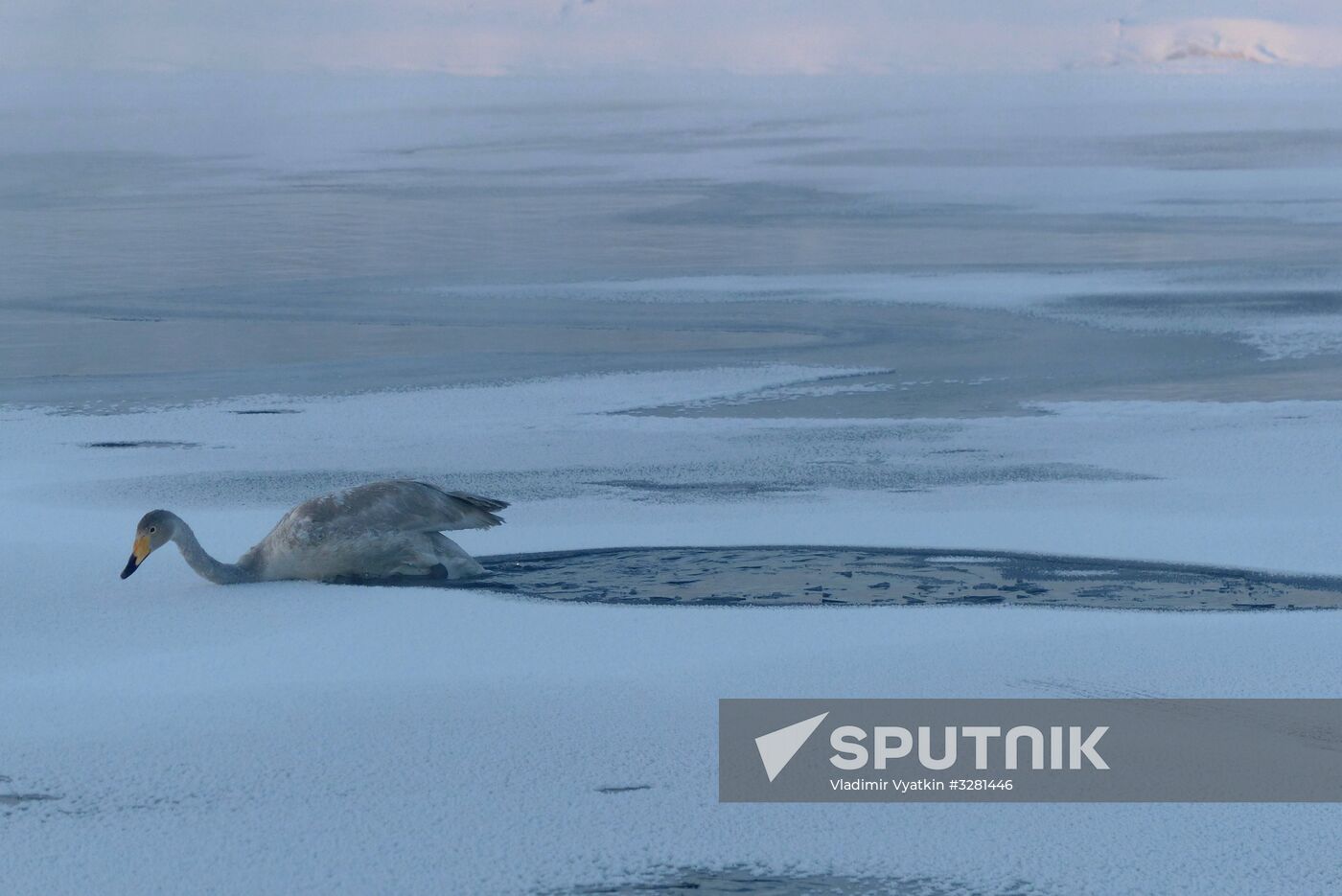 Lebediny State Nature Sanctuary