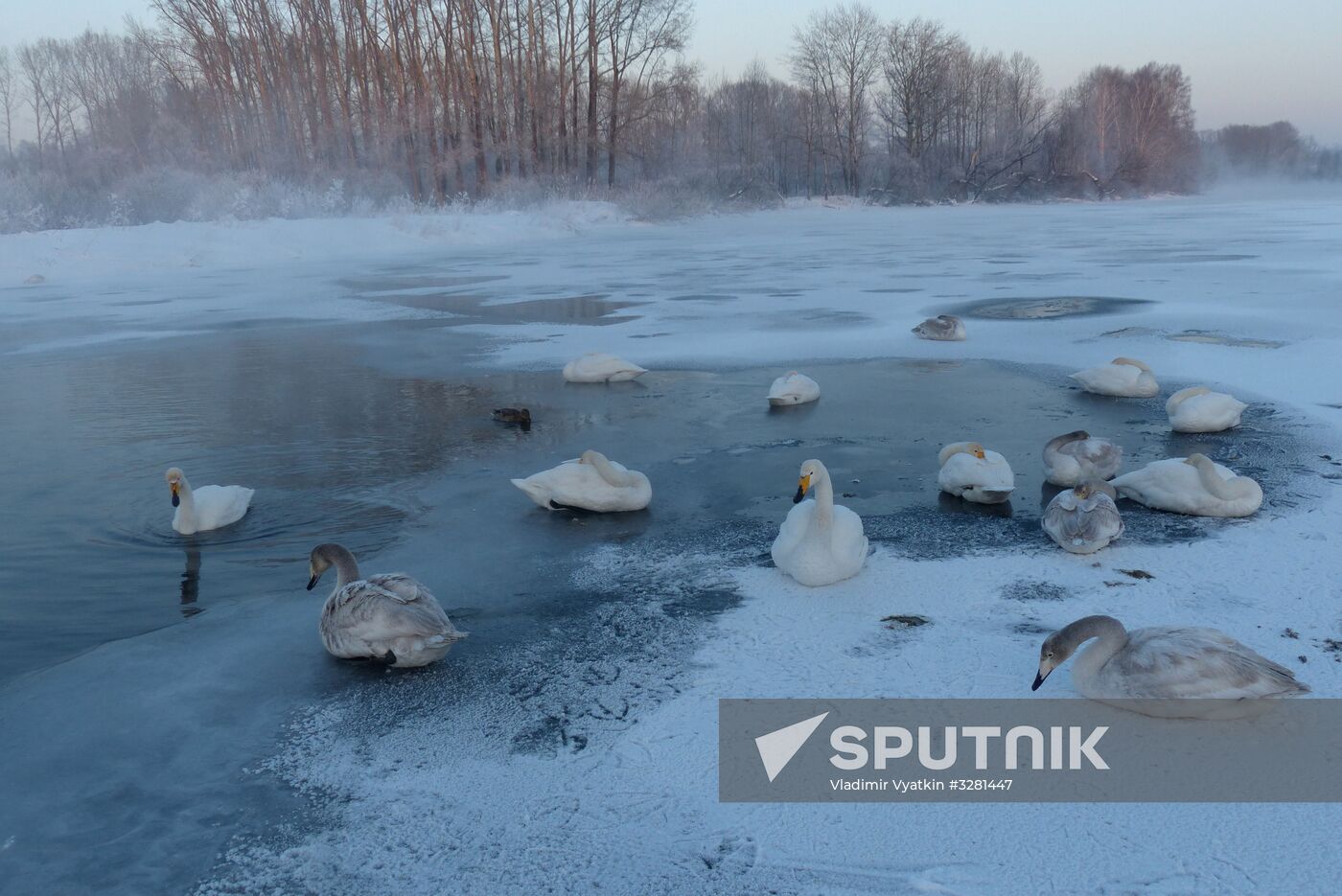 Lebediny State Nature Sanctuary