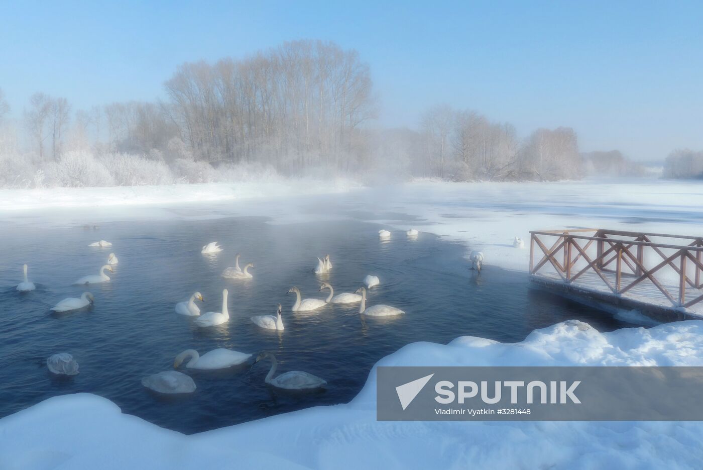 Lebediny State Nature Sanctuary