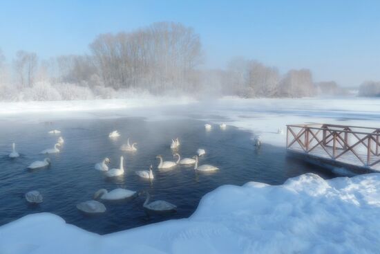 Lebediny State Nature Sanctuary