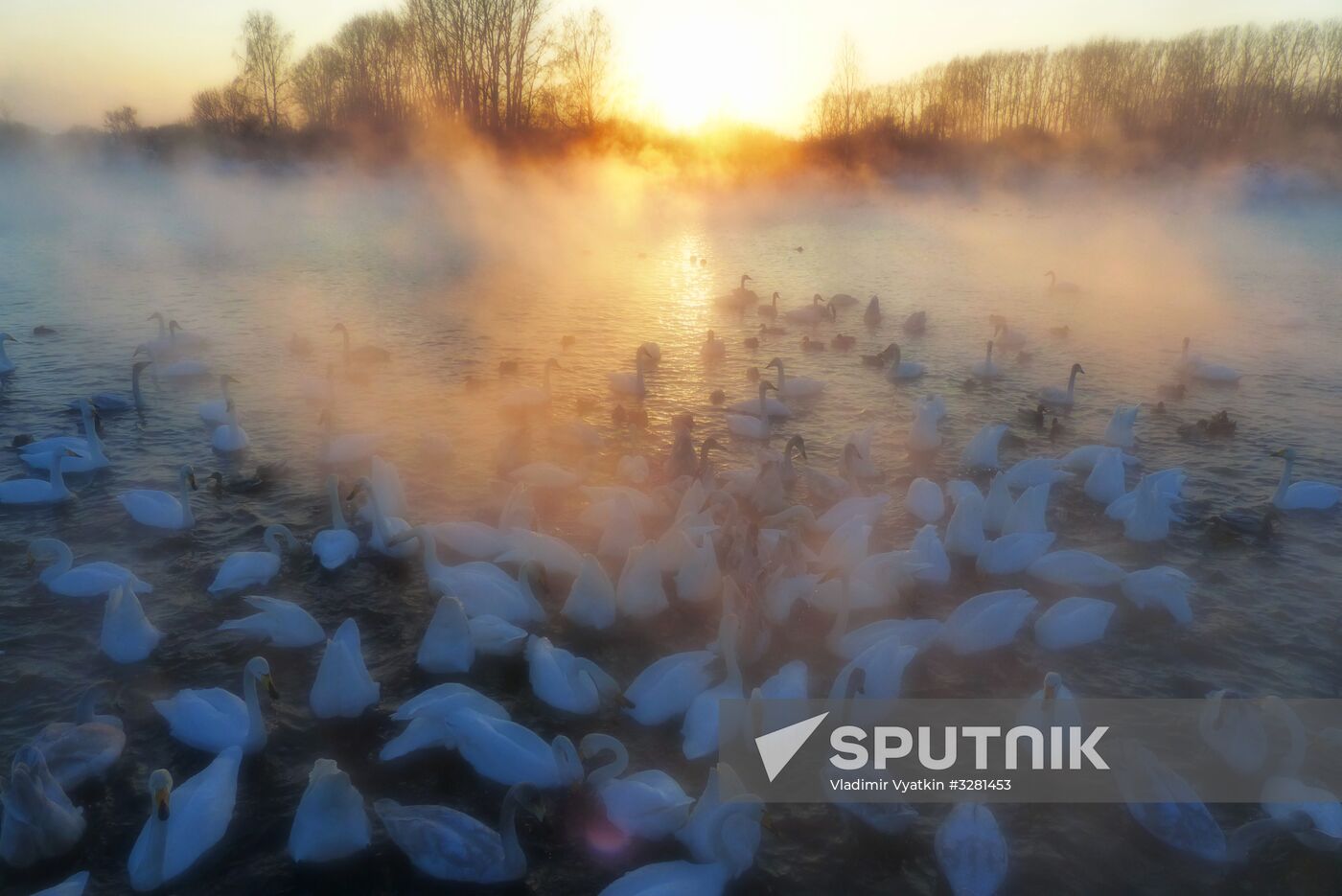 Lebediny State Nature Sanctuary