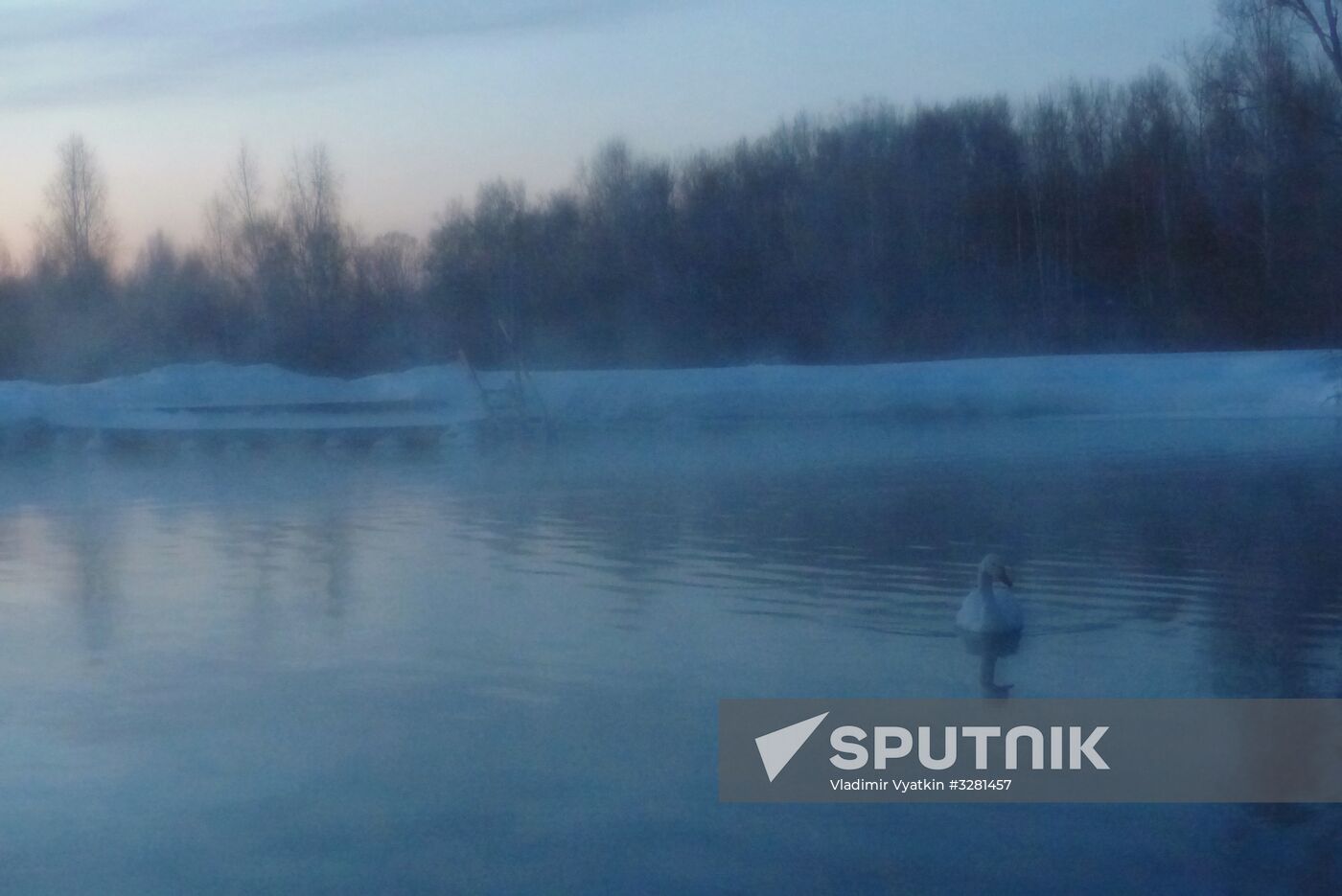 Lebediny State Nature Sanctuary