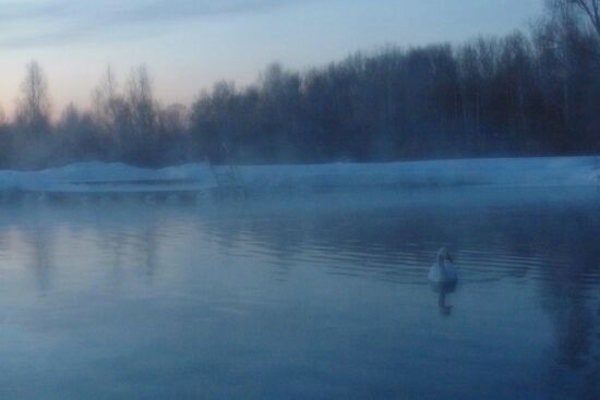 Lebediny State Nature Sanctuary