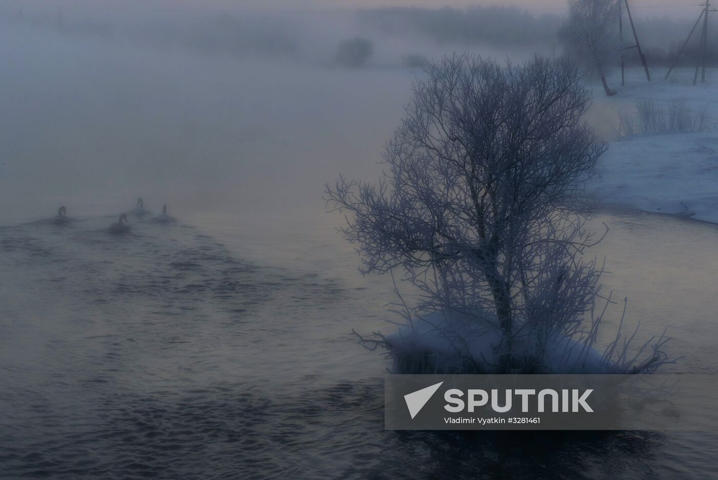 Lebediny State Nature Sanctuary