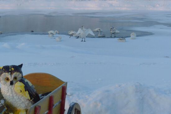 Lebediny State Nature Sanctuary