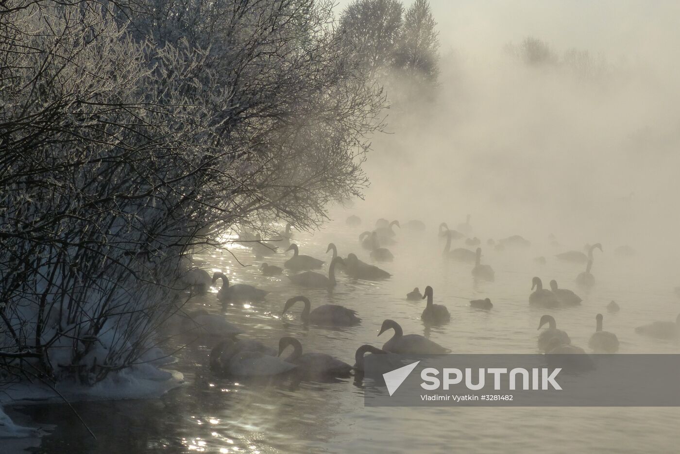 Lebediny State Nature Sanctuary