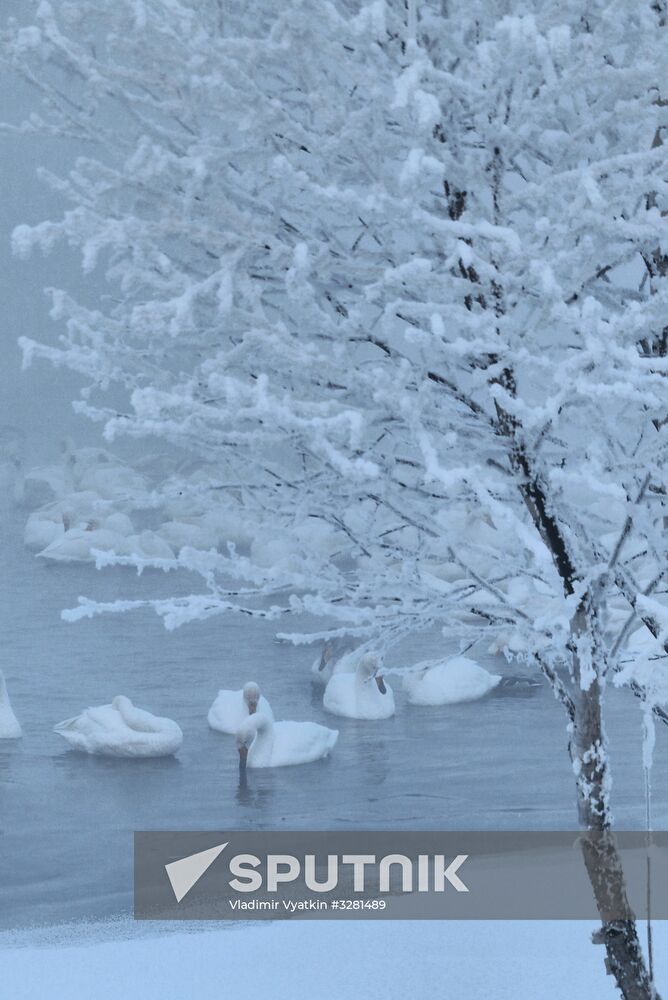 Lebediny State Nature Sanctuary