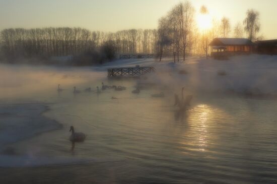 Lebediny State Nature Sanctuary