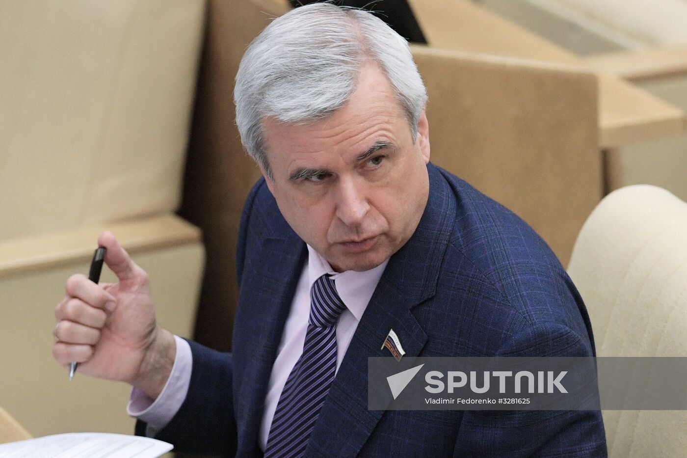 State Duma plenary meeting