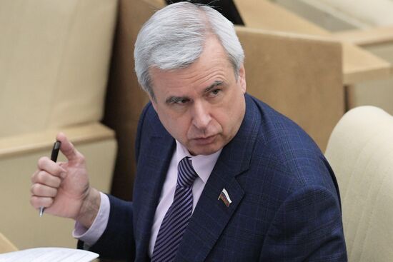 State Duma plenary meeting