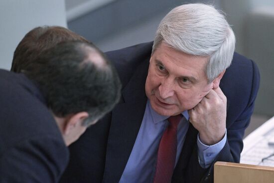 State Duma plenary meeting