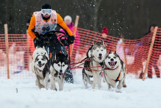 On the Land of Sampo 2018 sled dog race in Petrozavodsk