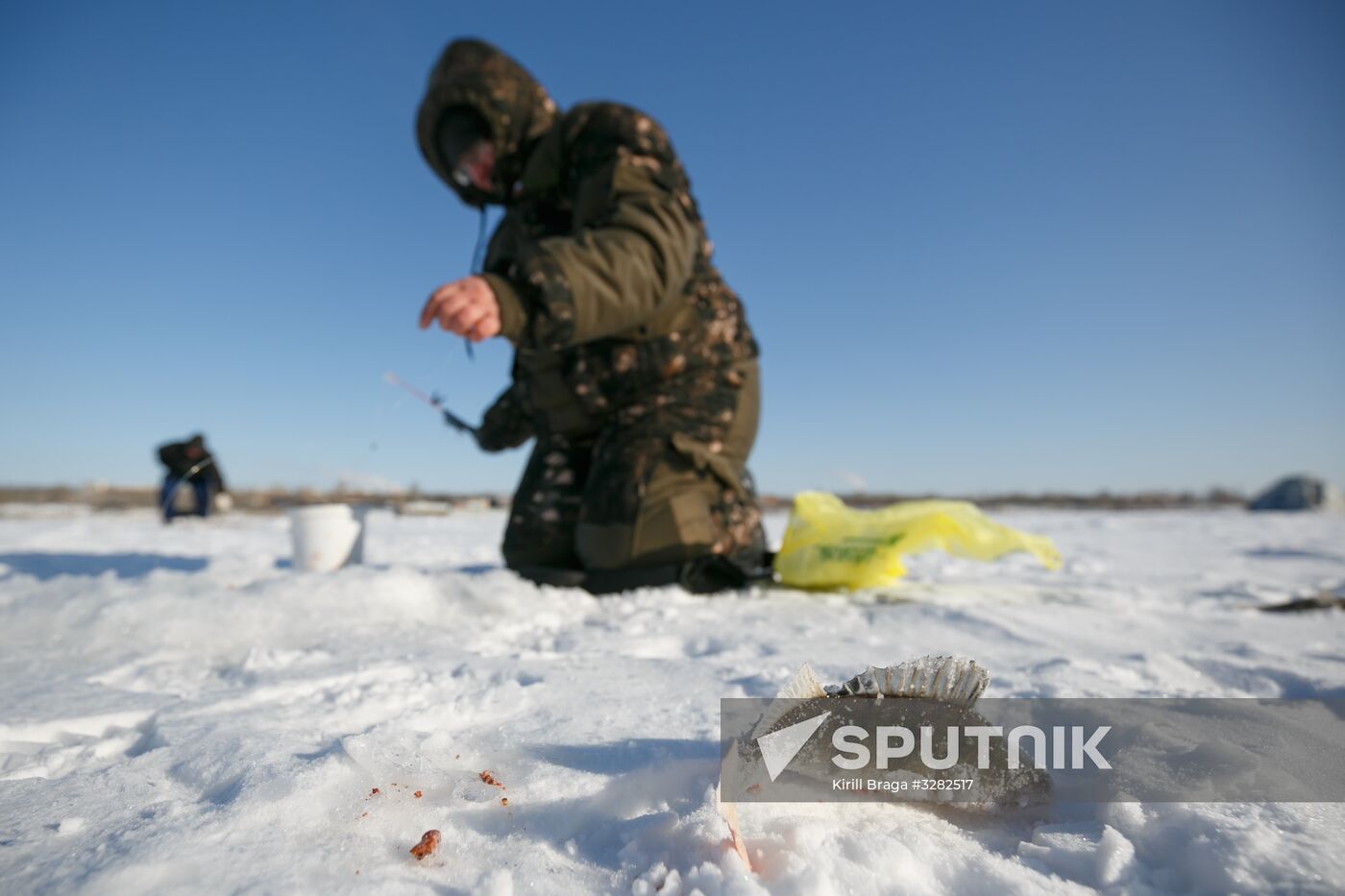 Fishing championship in Volgograd Region