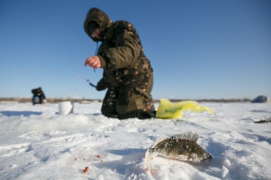 Fishing championship in Volgograd Region