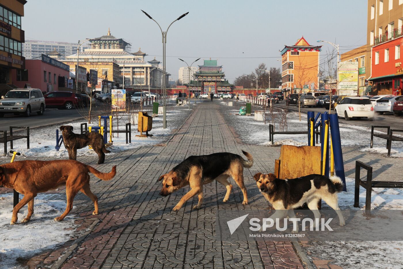 Cities of the world. Ulaanbaatar