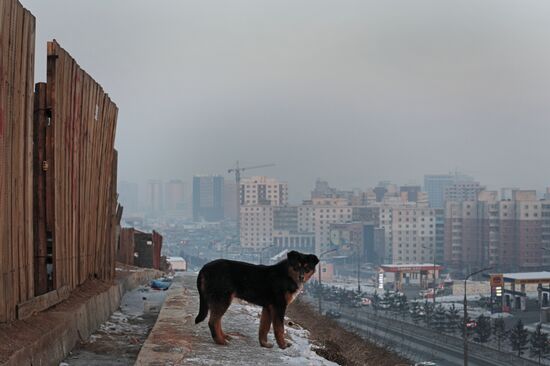 Cities of the world. Ulaanbaatar