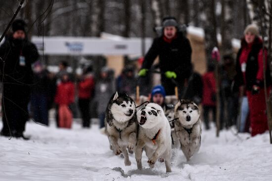 Rehabilitation and educational program 'On the way with Huskies'