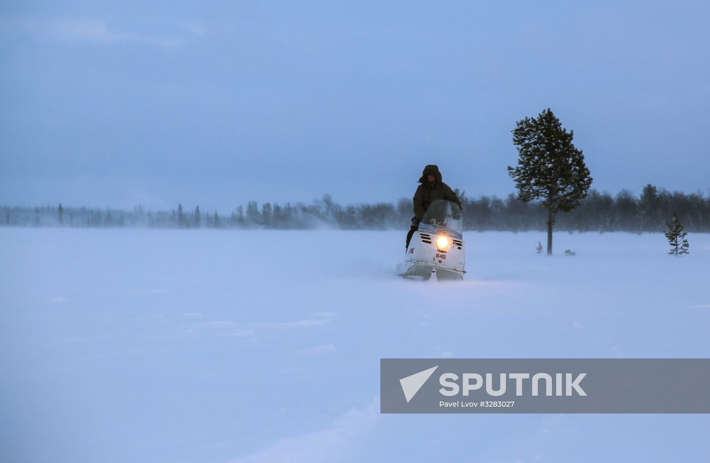 Tundra agricultural production cooperative in Murmansk Region