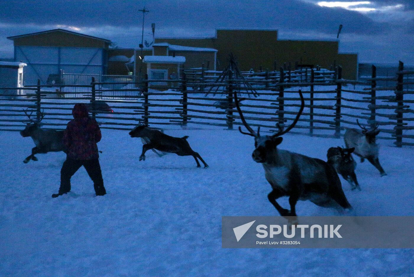 Tundra agricultural production cooperative in Murmansk Region