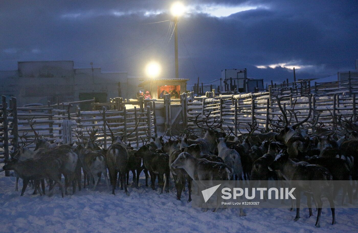 Tundra agricultural production cooperative in Murmansk Region