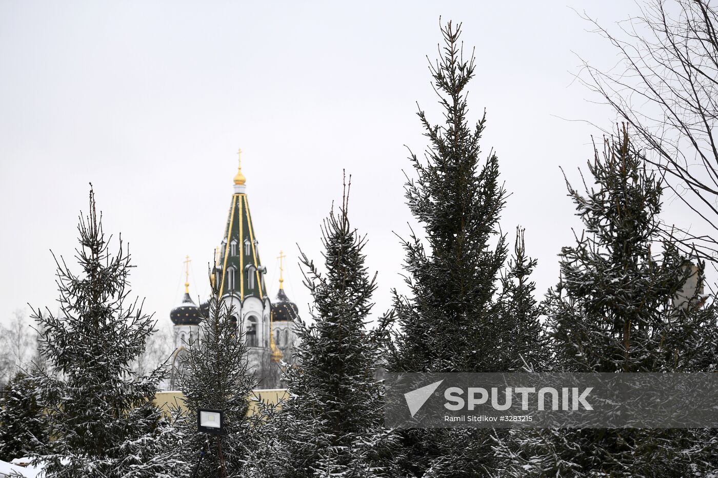 Lining-out nursery of planting stock for Moscow