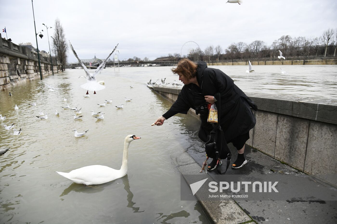 Water level in Seine reaches its peak