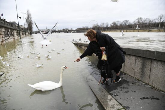 Water level in Seine reaches its peak
