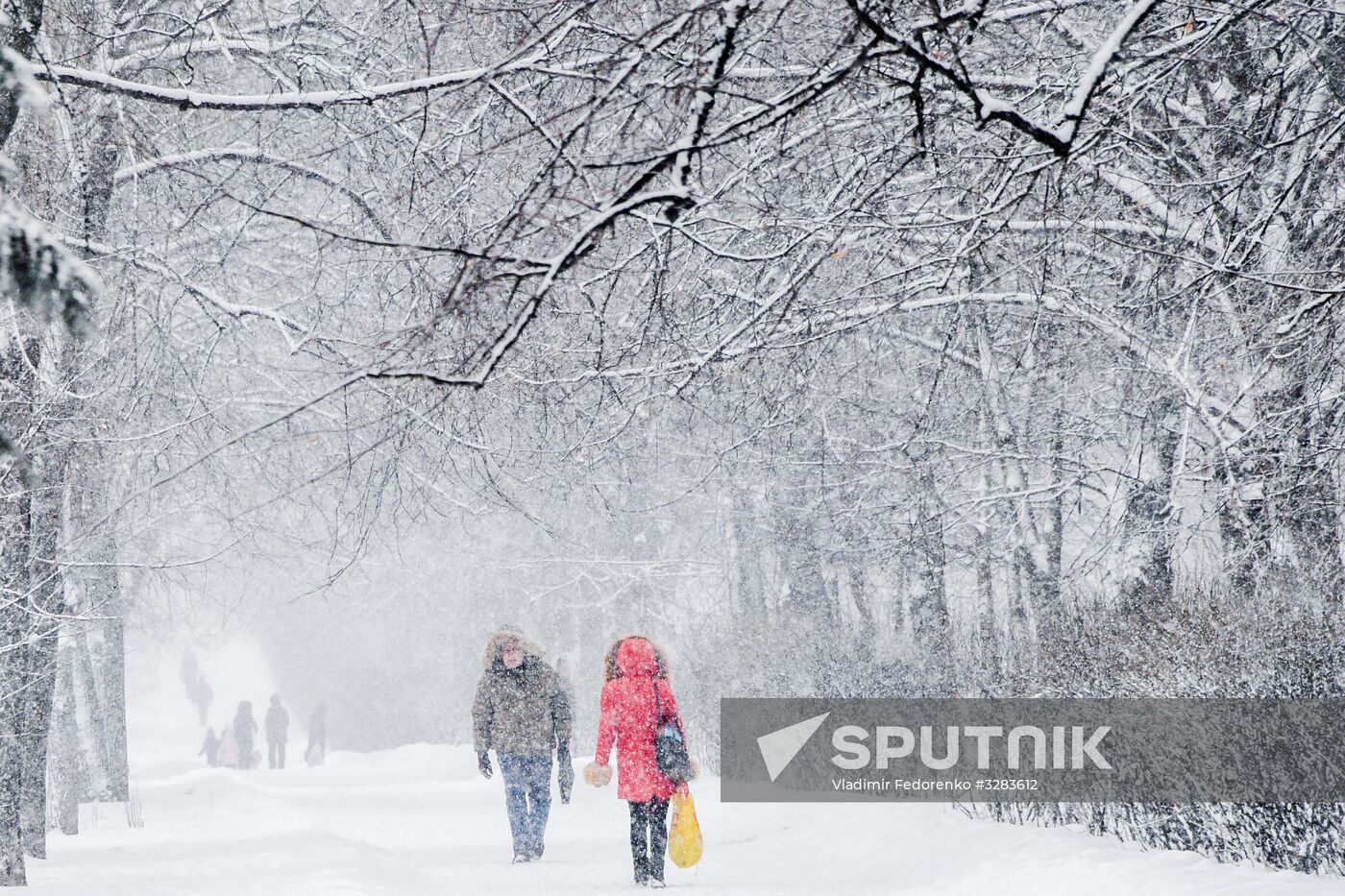 Snowfall in Moscow