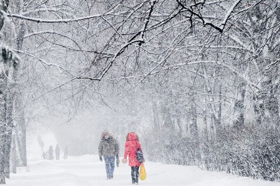Snowfall in Moscow